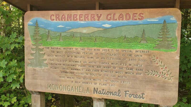 Cranberry Glades Botanical Area - Hillsboro, WV