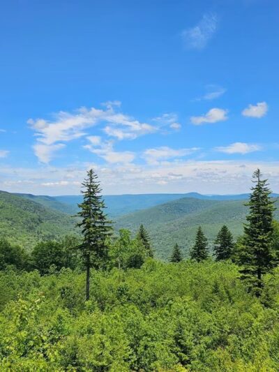Cranberry Wilderness - Hillsboro, WV