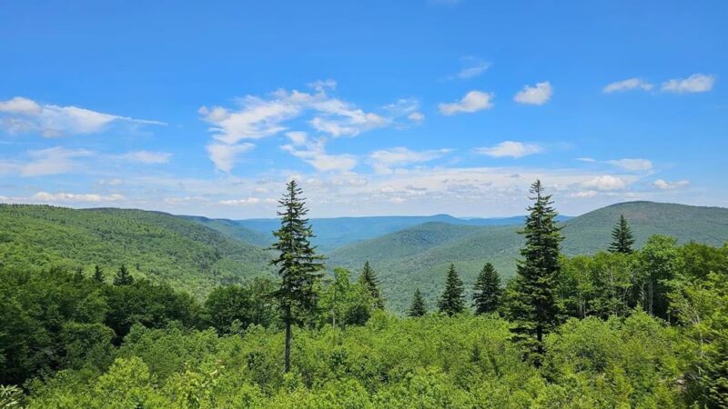 Cranberry Wilderness - Hillsboro, WV