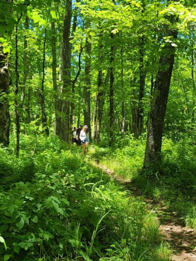 High Rocks Trail - Hillsboro, WV
