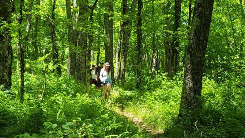 High Rocks Trail - Hillsboro, WV