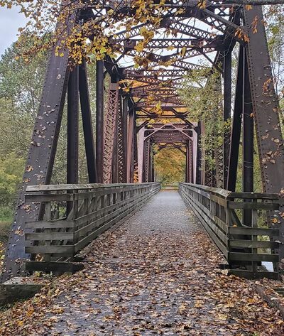 River Trail Hollow Campground - Hillsboro, WV