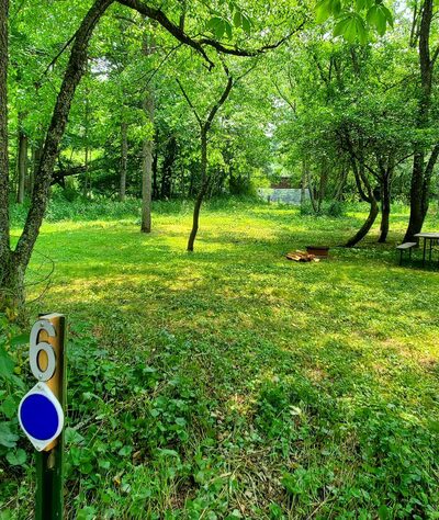 River Trail Hollow Campground - Hillsboro, WV