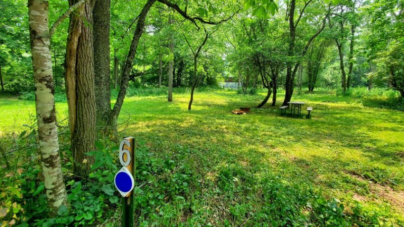 River Trail Hollow Campground - Hillsboro, WV