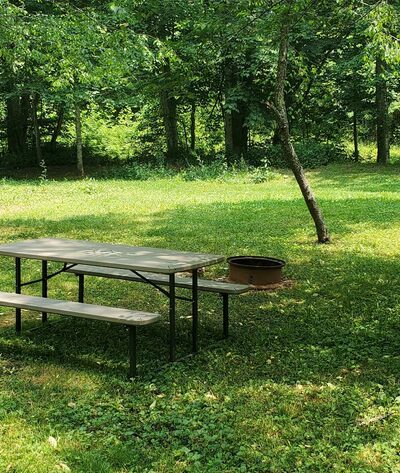 River Trail Hollow Campground - Hillsboro, WV