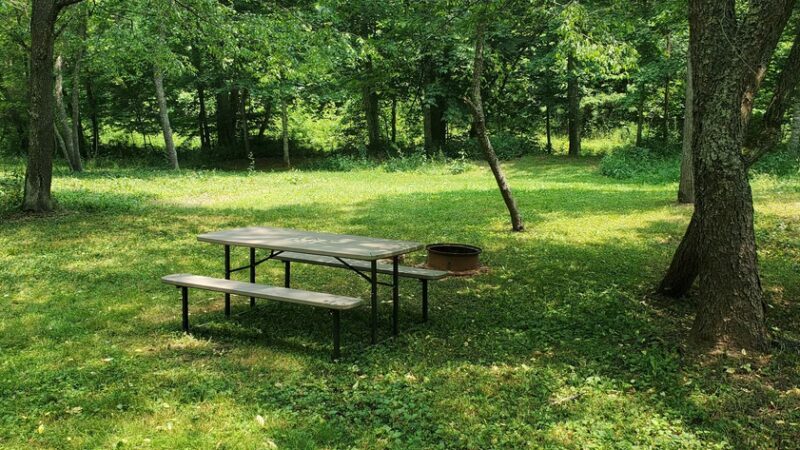 River Trail Hollow Campground - Hillsboro, WV