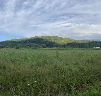Gesundheit Institute - Hillsboro, WV