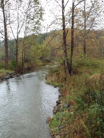 Gesundheit Institute - Hillsboro, WV