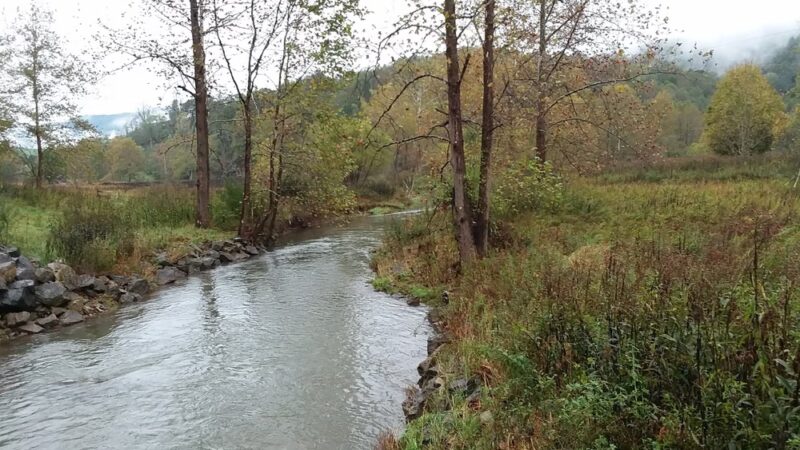 Gesundheit Institute - Hillsboro, WV
