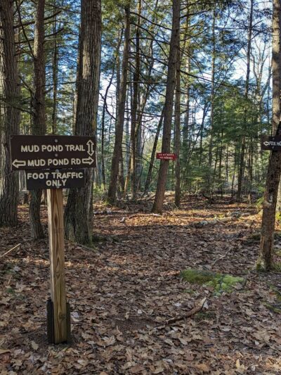 Fox State Forest - Hillsborough, NH