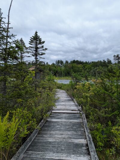 Fox State Forest - Hillsborough, NH