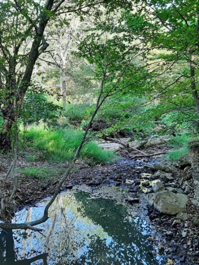 Cates Creek Park - Hillsborough, NC