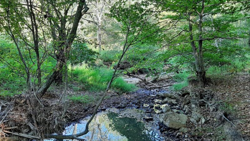 Cates Creek Park - Hillsborough, NC