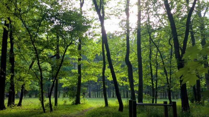 Cates Creek Park - Hillsborough, NC