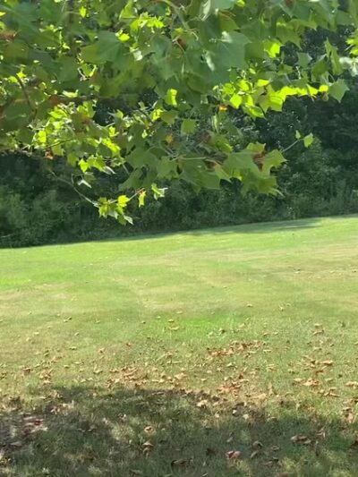 Fairview Park - Hillsborough, NC
