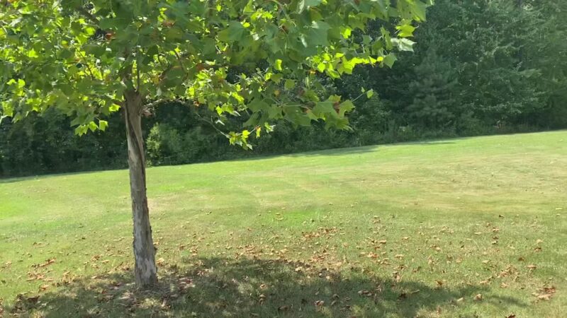 Fairview Park - Hillsborough, NC