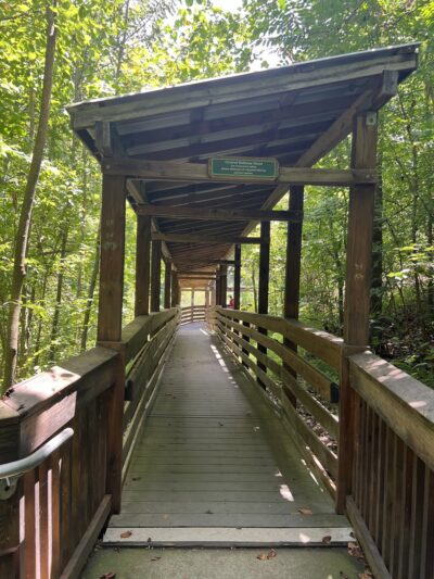 Gold Park - Hillsborough, NC