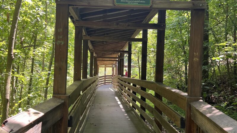 Gold Park - Hillsborough, NC
