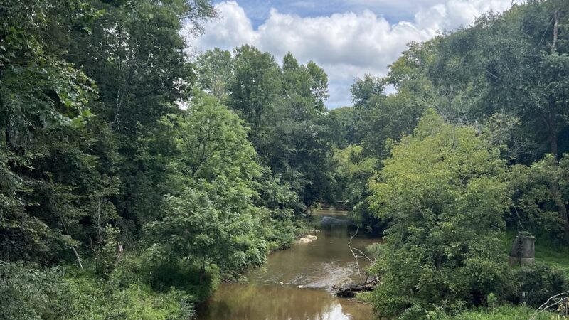 Gold Park - Hillsborough, NC