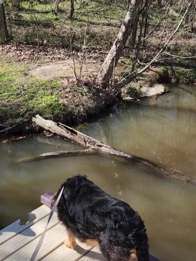 Kings Highway Park - Hillsborough, NC