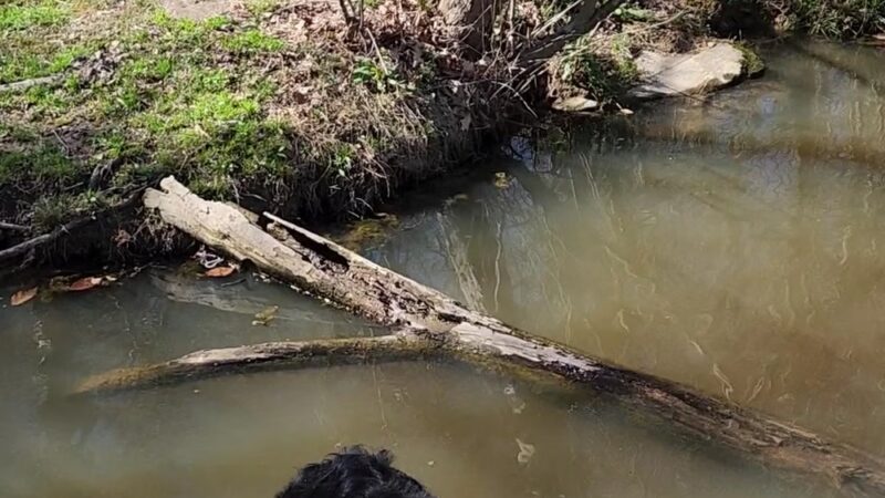 Kings Highway Park - Hillsborough, NC