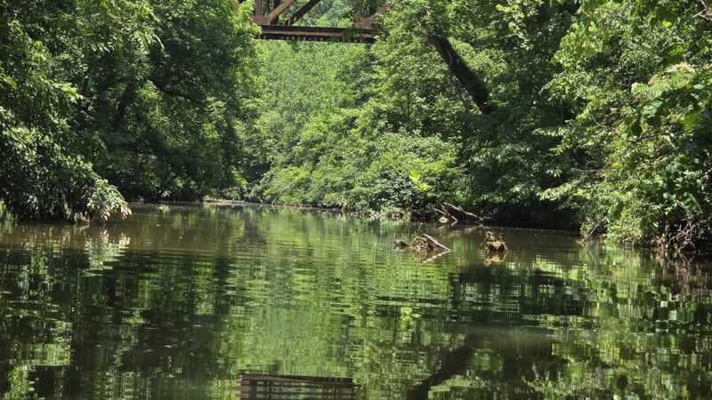 Kings Highway Park - Hillsborough, NC