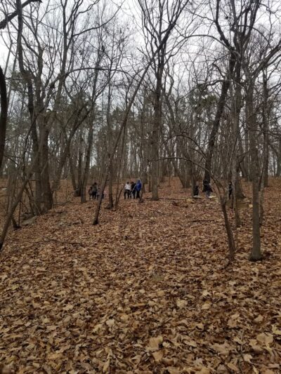 Murray Street Park - Hillsborough, NC