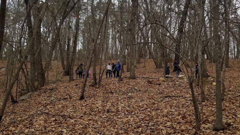 Murray Street Park - Hillsborough, NC