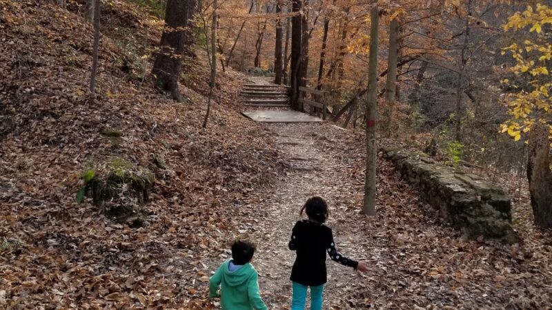 Murray Street Park - Hillsborough, NC