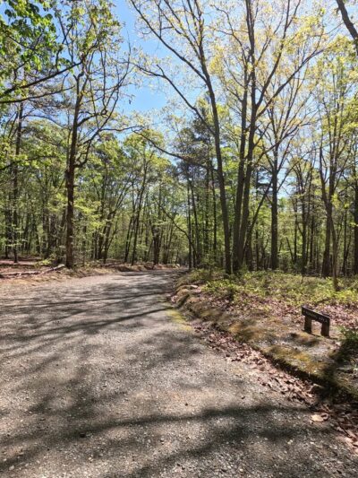 Occoneechee Mountain State Natural Area - Hillsborough, NC