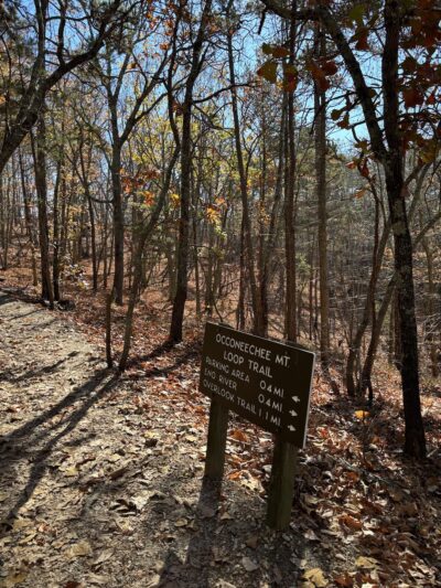 Occoneechee Mountain State Natural Area - Hillsborough, NC