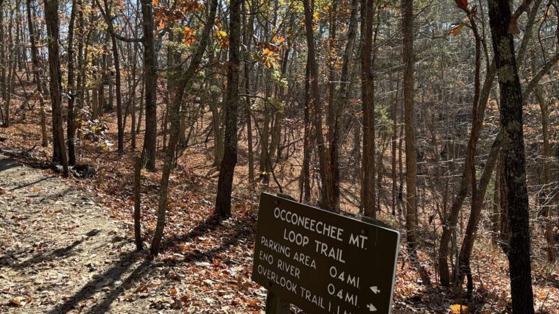 Occoneechee Mountain State Natural Area - Hillsborough, NC