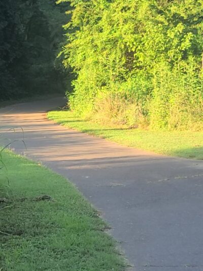 Riverwalk Trail - park at Gold Park - Hillsborough, NC