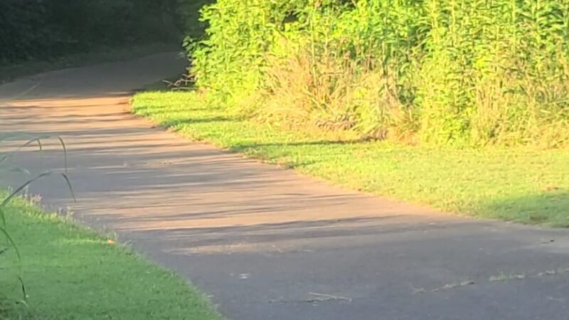 Riverwalk Trail - park at Gold Park - Hillsborough, NC