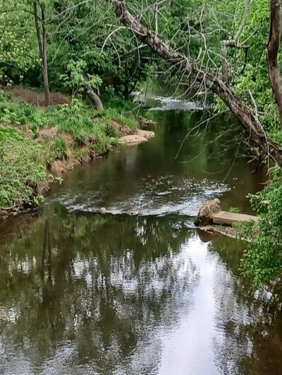 Riverwalk Trail - park at Gold Park - Hillsborough, NC