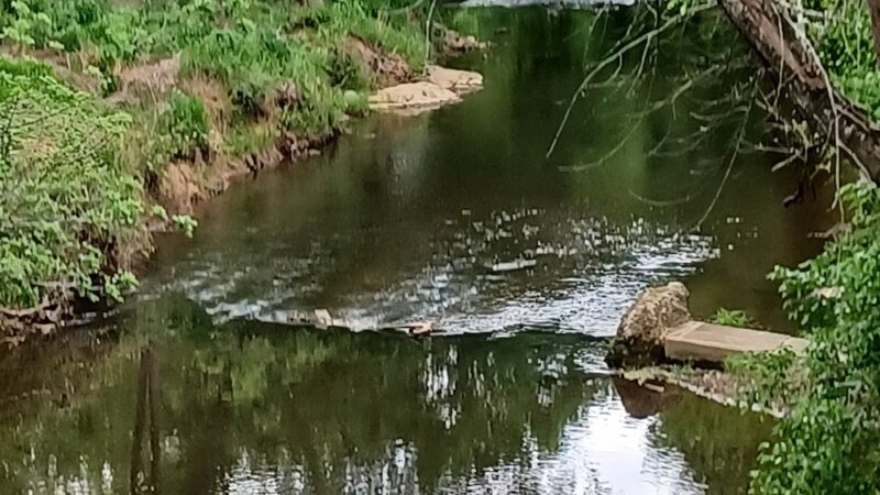 Riverwalk Trail - park at Gold Park - Hillsborough, NC