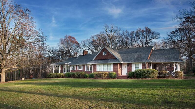 Top Dog Training and Resort - Hillsborough, NC