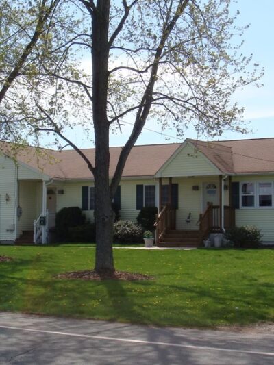 Dog Days Daycare Center - Hillsborough Township, NJ