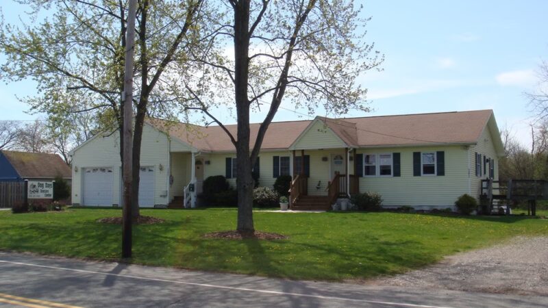 Dog Days Daycare Center - Hillsborough Township, NJ