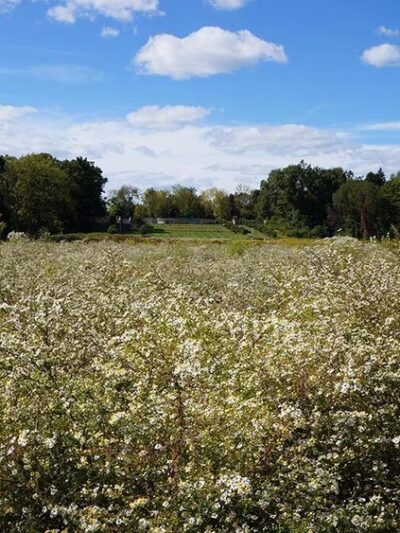 Duke Farms - Hillsborough Township, NJ