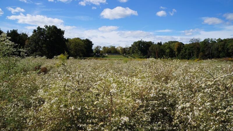 Duke Farms - Hillsborough Township, NJ