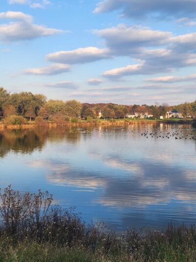Hillsborough Duck Pond - Hillsborough Township, NJ