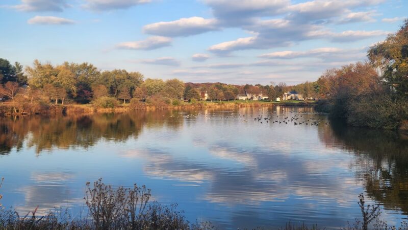 Hillsborough Duck Pond - Hillsborough Township, NJ