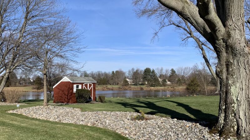 Hillsborough Duck Pond - Hillsborough Township, NJ