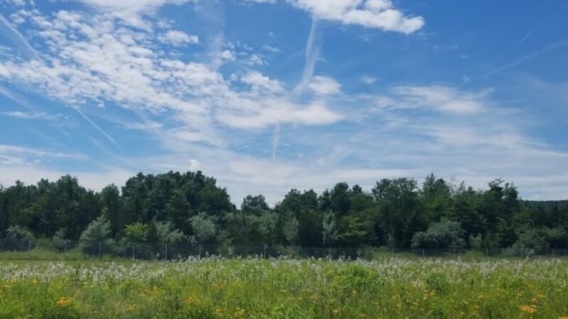 Mountain View Park - Hillsborough Township, NJ