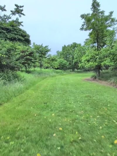 Otto's Park (XC) - Hillsborough Township, NJ