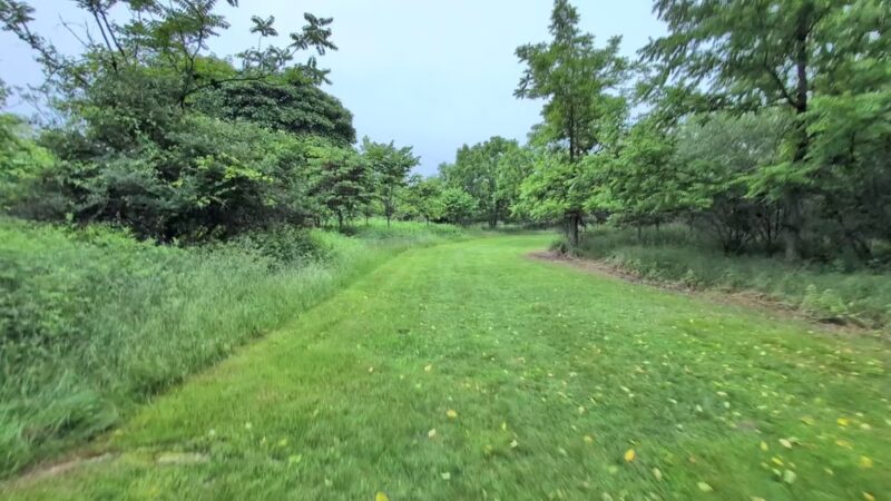 Otto's Park (XC) - Hillsborough Township, NJ