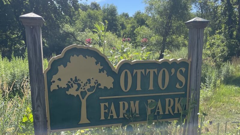 Otto's Park (XC) - Hillsborough Township, NJ