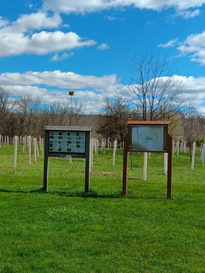 Otto's Park (XC) - Hillsborough Township, NJ