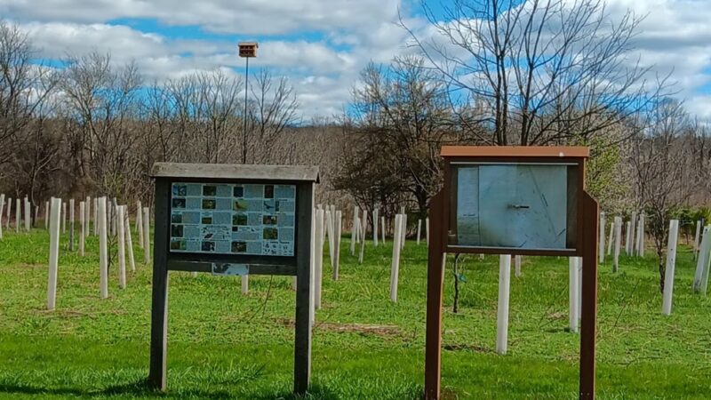 Otto's Park (XC) - Hillsborough Township, NJ